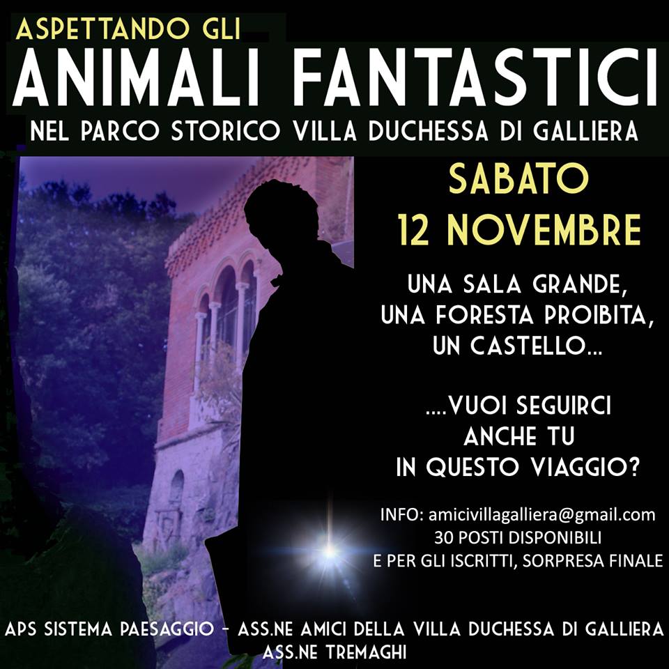 Scopri di più sull'articolo Animali fantastici