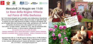 Scopri di più sull'articolo Le rose della regina Vittoria nel Parco di Villa Duchessa