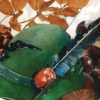 Scopri di più sull'articolo Castagnata alpini